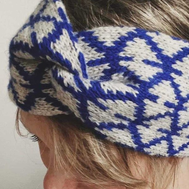 AASE Headband