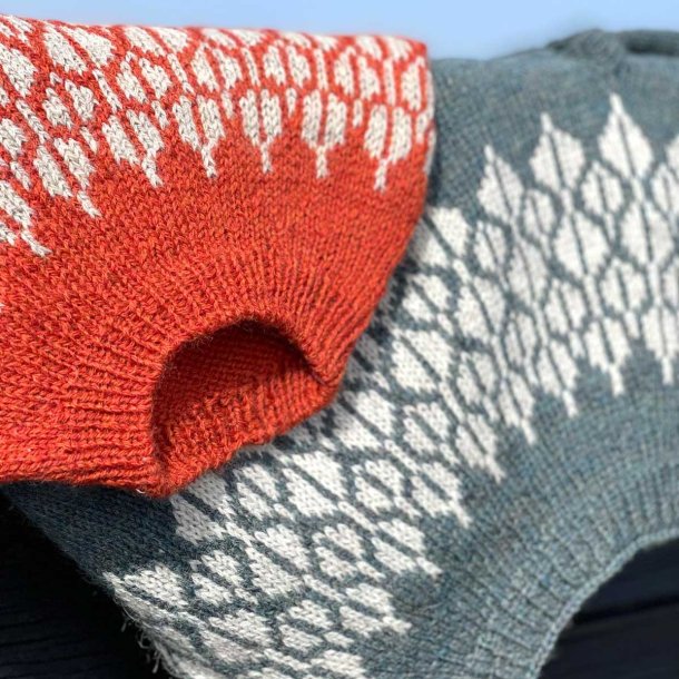 �R� Sweater Junior