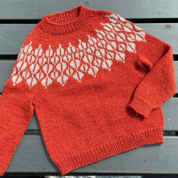 �R� Sweater Junior