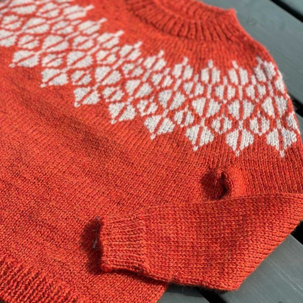 �R� Sweater Junior
