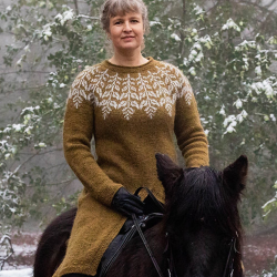 KRISTTJRN Ridesweater